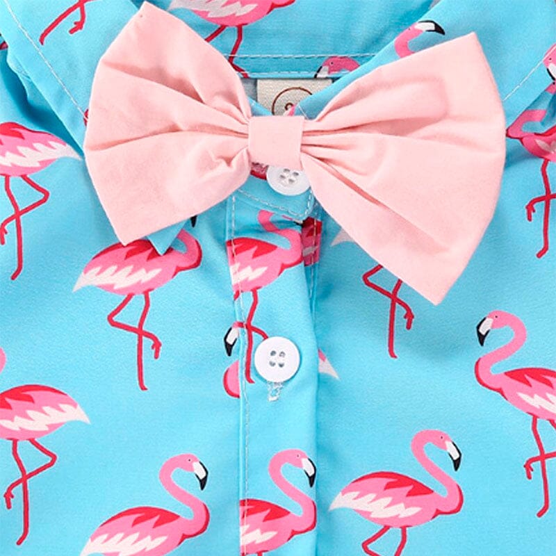 Flamingo Gentleman Baby Romper - Wearebambino - 0 - 3 M - Flamingo Gentleman Baby Romper